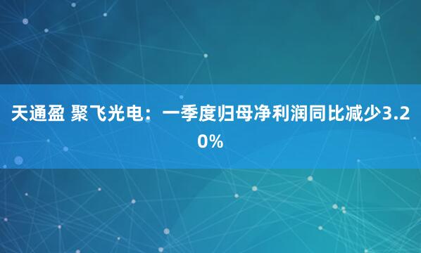 天通盈 聚飞光电：一季度归母净利润同比减少3.20%