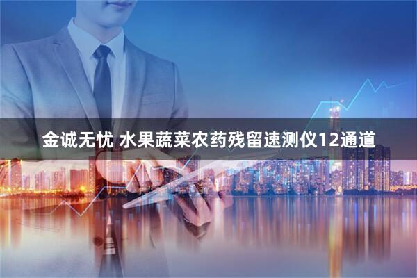 金诚无忧 水果蔬菜农药残留速测仪12通道